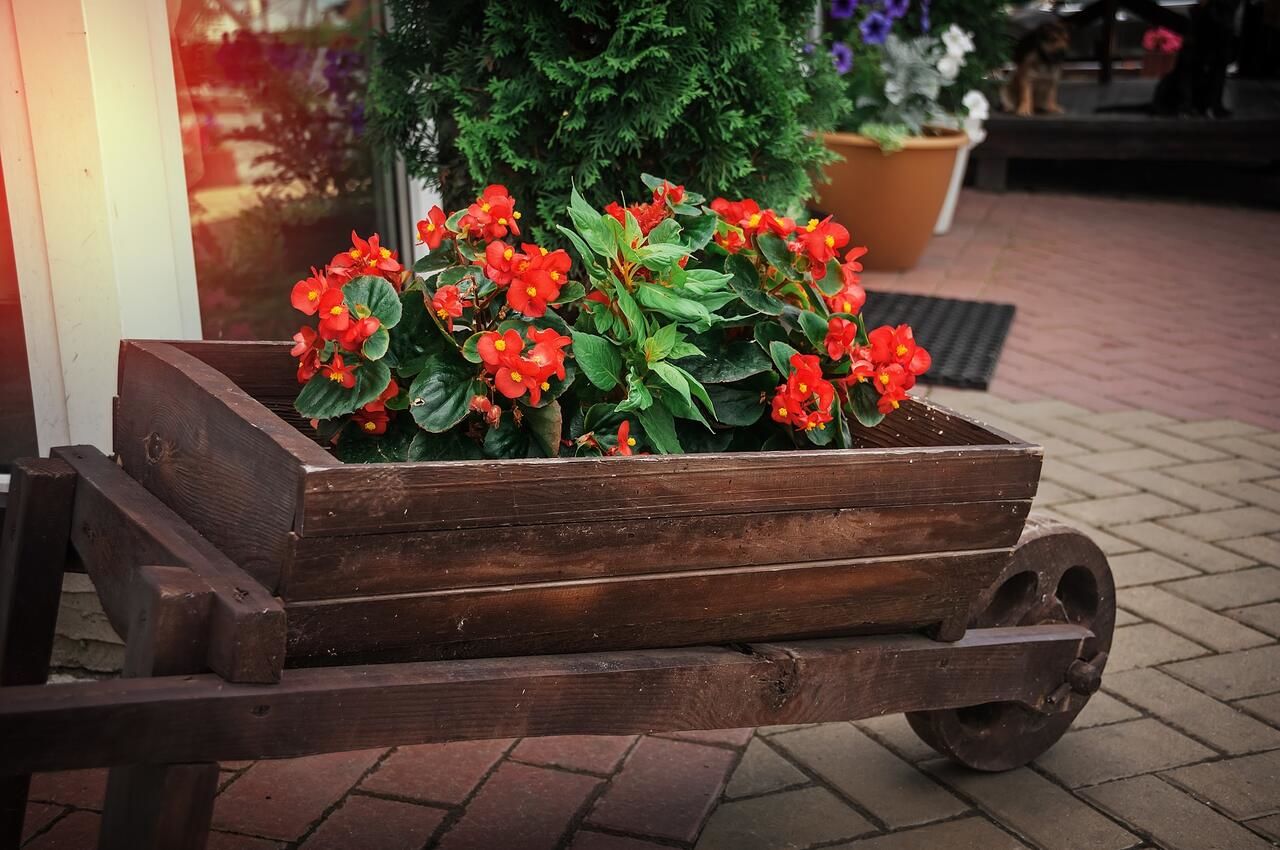 Мотели Avto Spa Хмельницкий-6